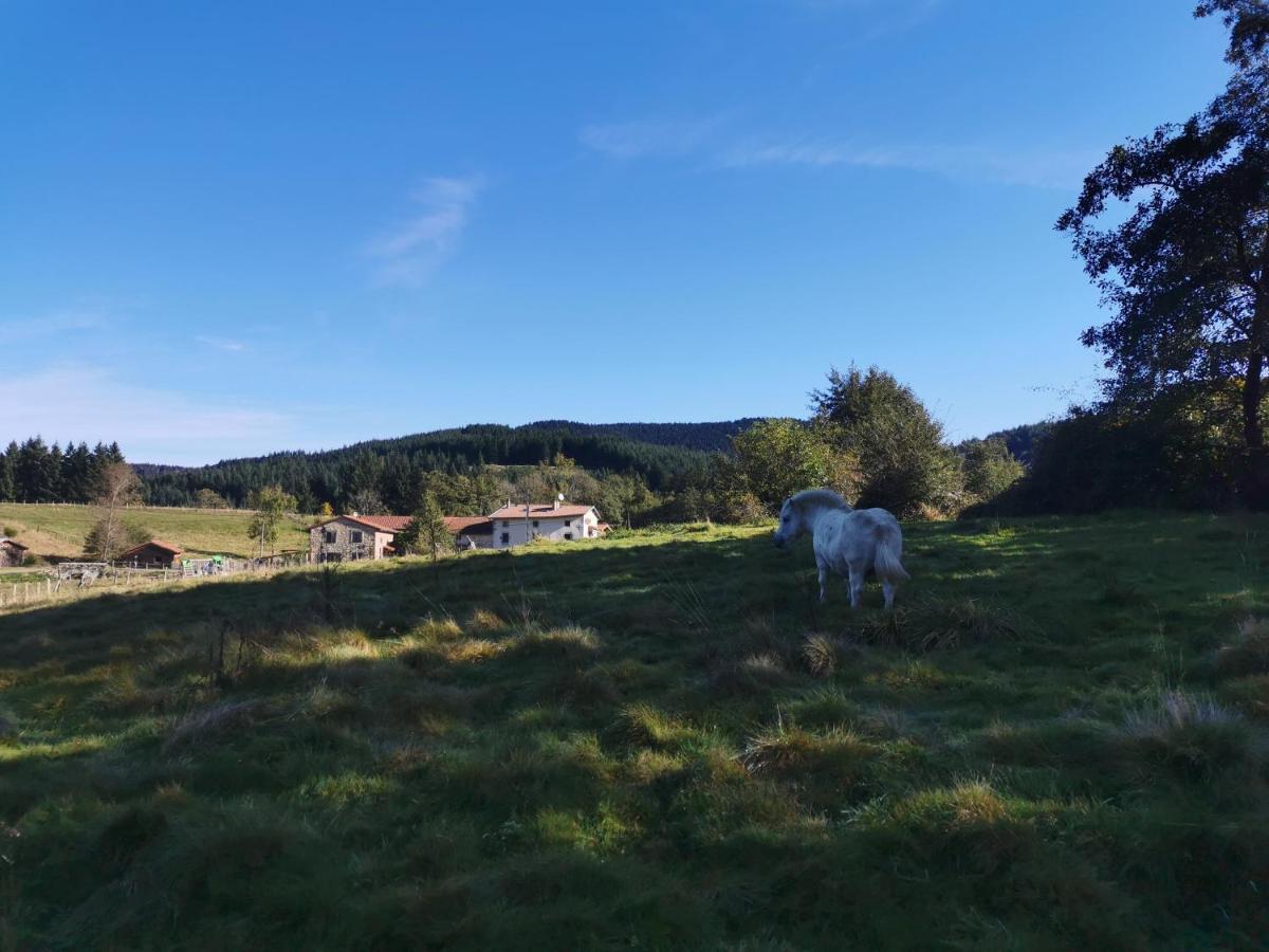 Le Moulin De La Fortie, Maison D'Hotes Panzió Viscomtat Kültér fotó